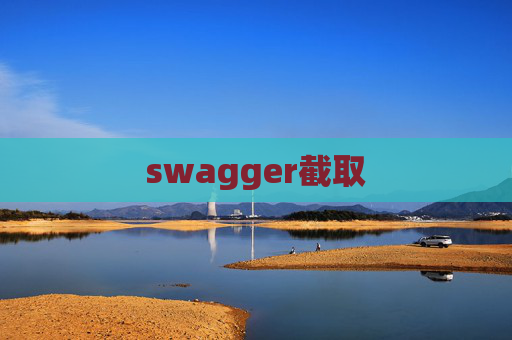 swagger截取